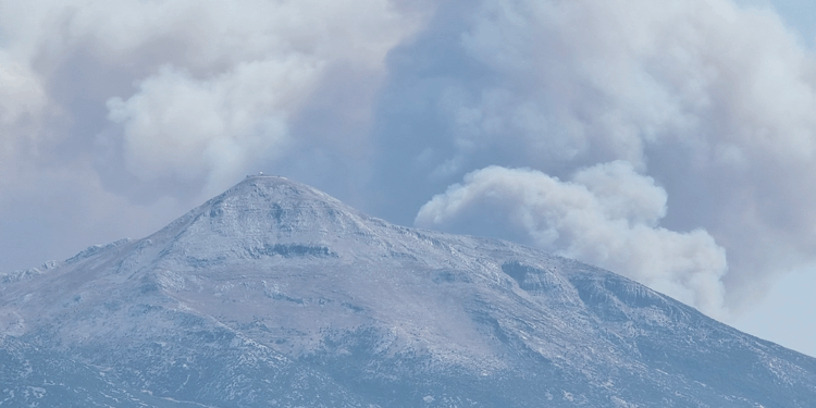 Suriye'de sınıra yakın bölgede orman yangını