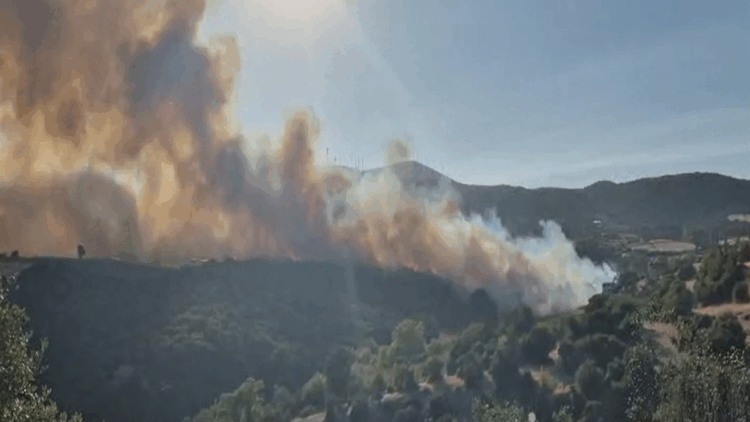 Susurluk'taki orman yangını 12 saat sonra kontrol altına alındı