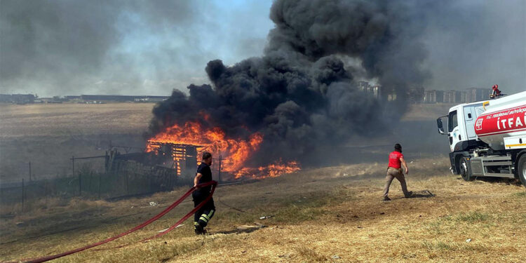 Tekirdağ'da çiftlikte çıkan yangın söndürüldü