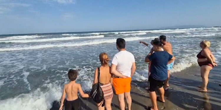 Tekirdağ'da denizde 2 kişi boğulma tehlikesi geçirdi