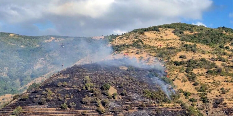 Tekirdağ'ın Şarköy ilçesinde makilik yangını
