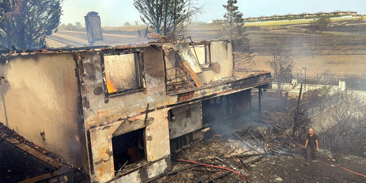 Tekirdağ'da ot yangını evlere sıçradı
