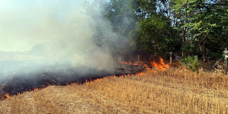 Tekirdağ'ın Çorlu ilçesinde çıkan anız yangını söndürüldü