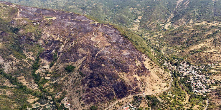 Tekirdağ'daki yangınla ilgili gözaltına alınan şüpheli serbest