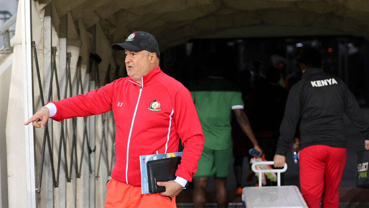 Engin Fırat Dorgeles Nene'yi değerlendirdi