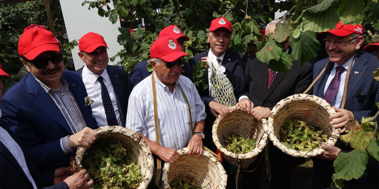 Dünya Fındık Haftası etkinliğinin 3'üncüsü düzenlendi