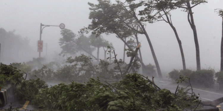 Tayvan'da tayfun alarmı