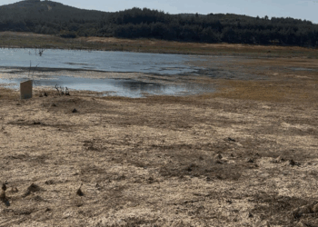 Tekirdağ'da Yazır Göleti'nin su seviyesi yüzde 4'e düştü