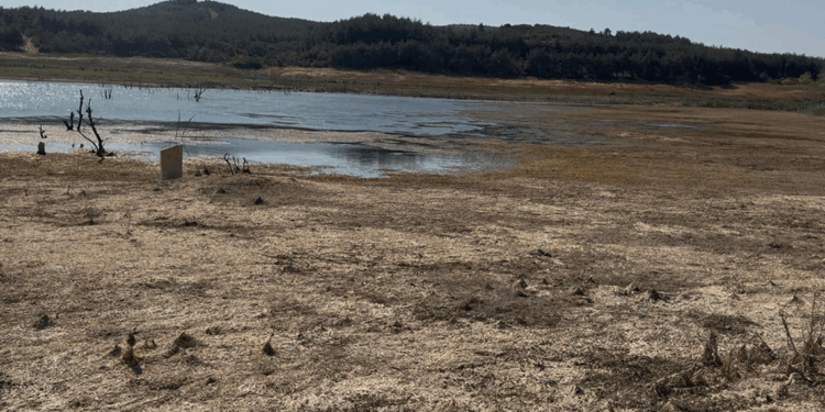 Tekirdağ'da Yazır Göleti'nin su seviyesi yüzde 4'e düştü