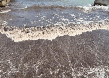 Tekirdağ’da deniz, kızıl yosunlar nedeniyle kırmızı renge büründü