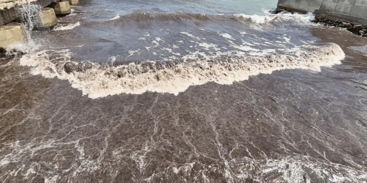 Tekirdağ’da deniz, kızıl yosunlar nedeniyle kırmızı renge büründü