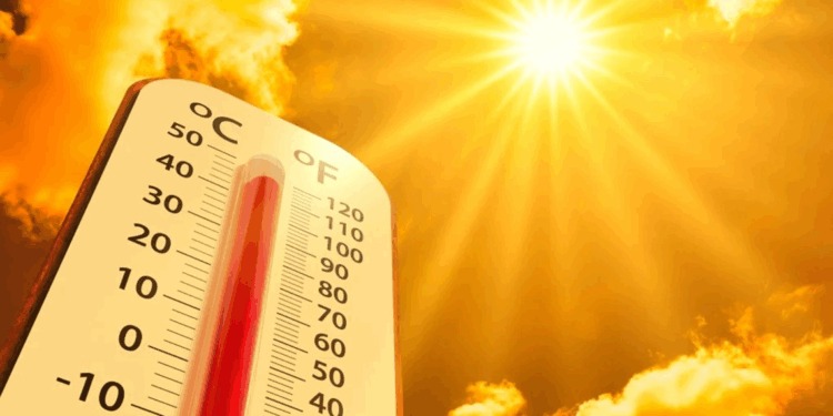 Hatay’da depremde ölen avukatın diplomasıyla sahte kayıt yapmışlar