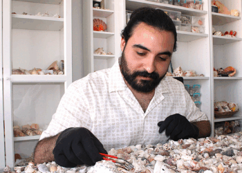 Topladığı 10 milyon deniz kabuğu ile koleksiyon oluşturdu