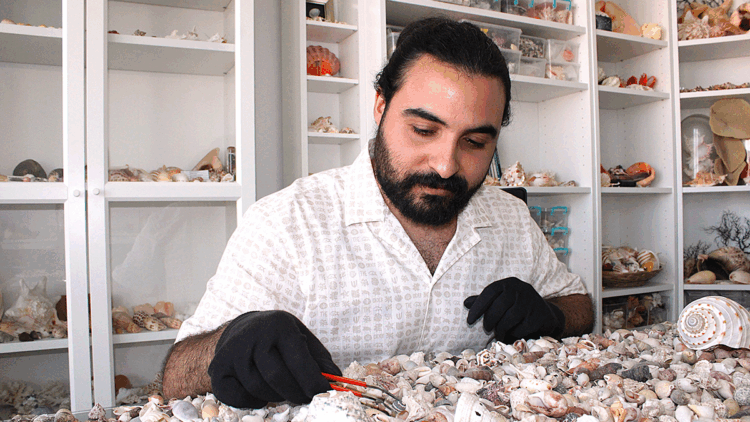 Topladığı 10 milyon deniz kabuğu ile koleksiyon oluşturdu