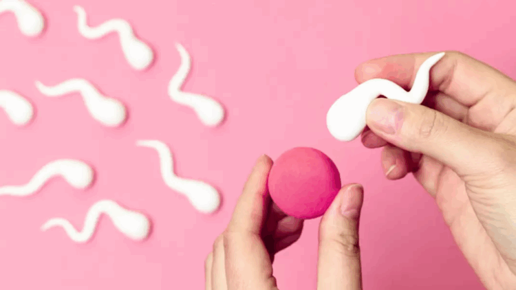 Tüp bebek tedavisinde doğru bilinen 5 yanlış