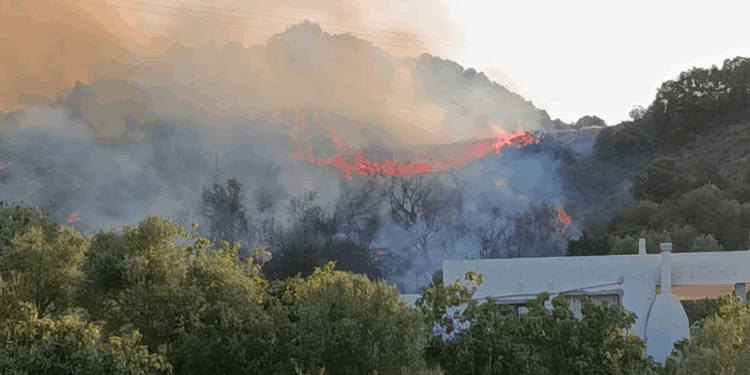 Turgutlu'da maki ve zeytinlikteki yangın, ormana sıçramadan söndürüldü