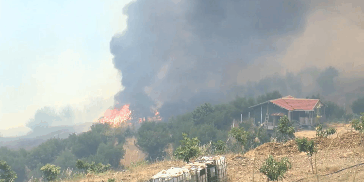 Üzerlerine ilerleyen alevlere rağmen yangının eve sıçramasını engellediler