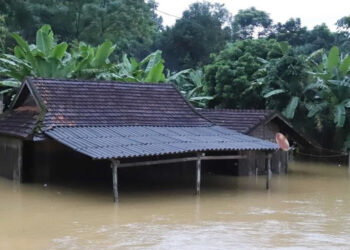 Vietnam'da şiddetli yağış; 8 ölü