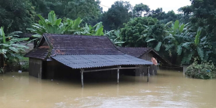 Vietnam'da şiddetli yağış; 8 ölü