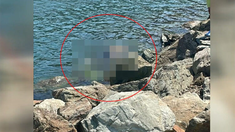 Eski futbolcu Metin Baş boğularak can verdi