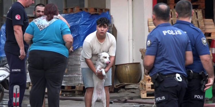 Yangın çıkan dairede mahsur kalan 2 köpek kurtarıldı