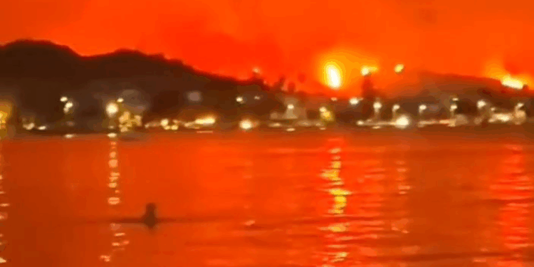 vYunanistan'da orman yangınları devam ediyor