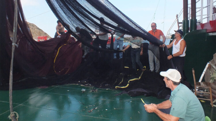 Av yasağının sona ermesine sayılı günler kaldı; balıkçılar umutlu