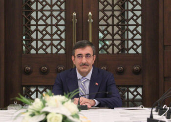 Cevdet Yılmaz orman yangınlarına ilişkin açıklama yaptı