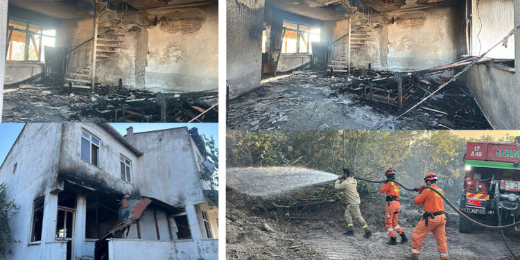 Edirne'nin Enez ilçesinde çıkan orman yangınından geriye küller kaldı