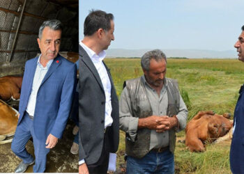 Şap hastalığı felakete dönüştü