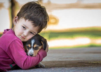Korkmaya devam ettikçe