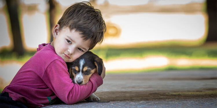 Korkmaya devam ettikçe