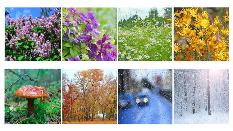 Ankara havası: Dört mevsimi bir günde yaşama sanatı