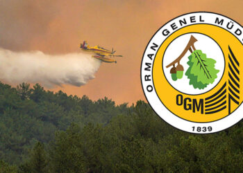 OGM'den 'Parayı Verdin Uçak Nerede' başlıklı habere yalanlama