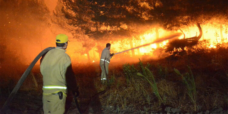 Orman kahramanlarının yangınlarla mücadelesi devam ediyor
