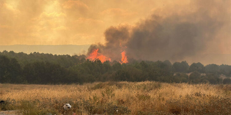 Tarım arazisinde çıkan yangın ormana sıçradı! Gemi trafiği askıya alındı