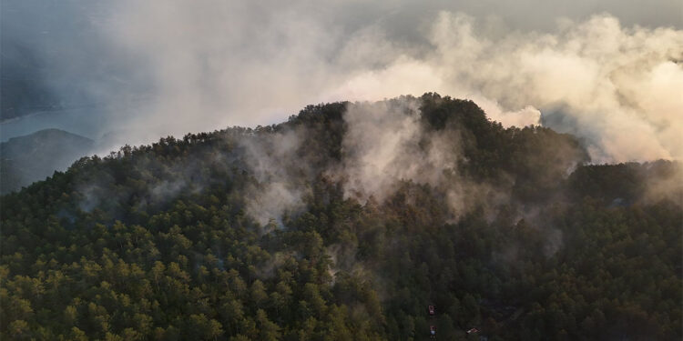 Sinop'taki orman yangını kontrol altına alındı