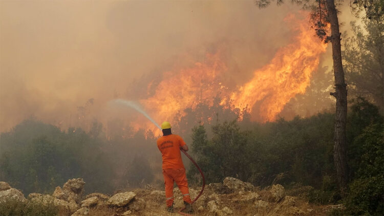 İklim değişikliği Türkiye'nin yangın haritasını değiştirdi