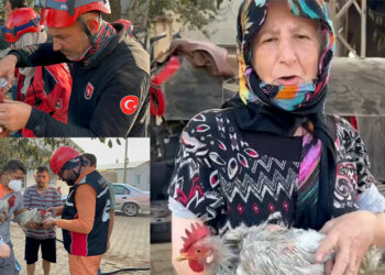 Orman yangınında evinin bir bölümü yandı, geriye 3 tavuğu kaldı