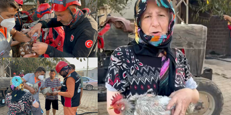 Orman yangınında evinin bir bölümü yandı, geriye 3 tavuğu kaldı