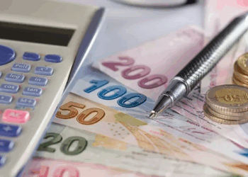 2024'te 21 bin 463 mali aracı kuruluş faaliyet gösterdi