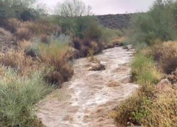 ABD'nin Arizona eyaletinde sel: 4 ölü