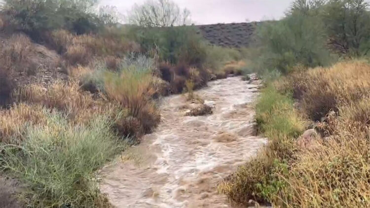 ABD'nin Arizona eyaletinde sel: 4 ölü