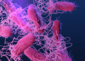 ABD’de salmonella alarmı; 7 kişinin hastaneye kaldırıldı