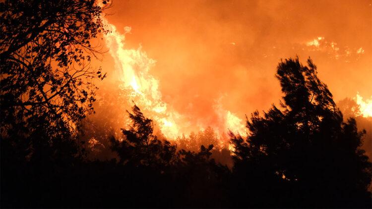 Alanya'da orman yangını; Yerleşim yerleri tahliye edildi