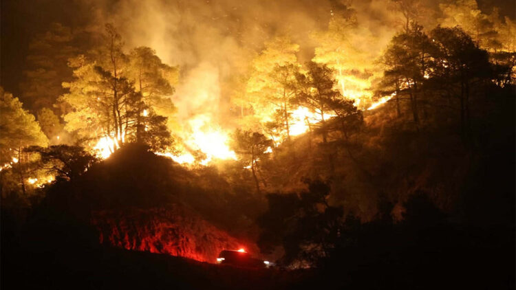 Aydın'daki orman yangını 4'üncü gününde