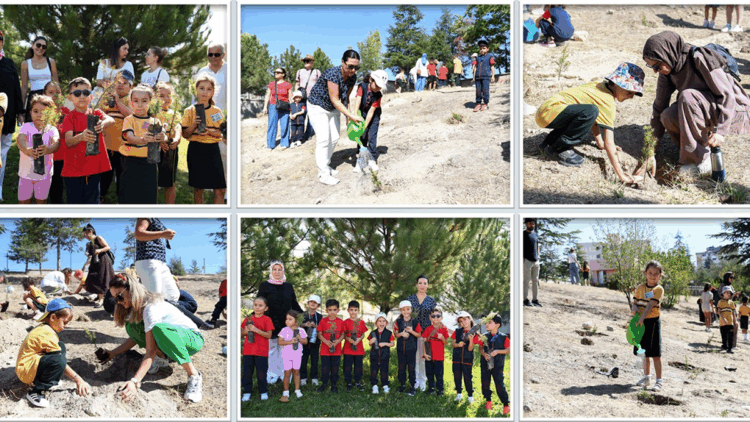 Ankara'da uyum haftasındaki öğrenciler fidan dikti