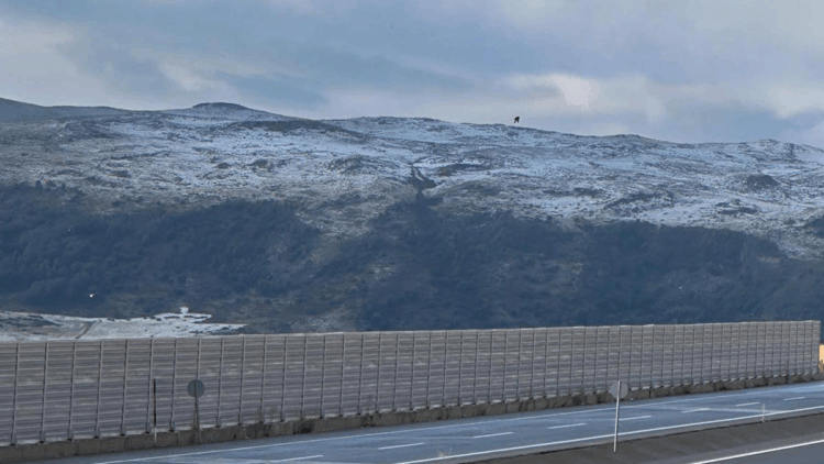 Ardahan'ın yükseklerindeki yaylalar, dolu nedeniyle beyaza büründü