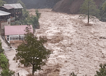 Artvin'in Borçka ilçesinde sağanak etkili oldu; dere taştı, köprü yıkıldı