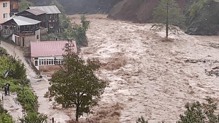 Artvin'in Borçka ilçesinde sağanak etkili oldu; dere taştı, köprü yıkıldı